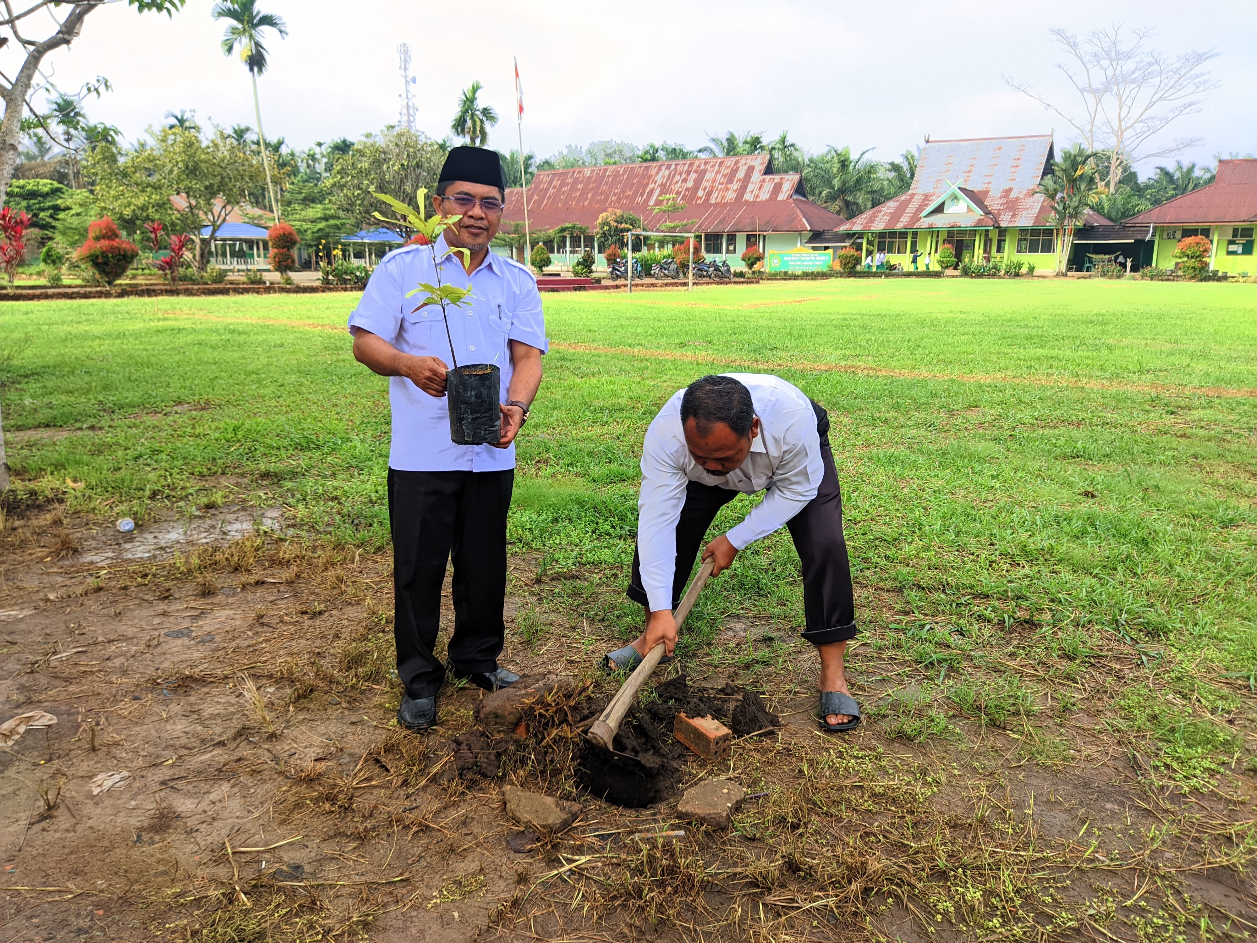 MTsN 2 Tanjung Jabung Timur Tanam Pohon Matoa dalam Rangka Hari Bumi 2025